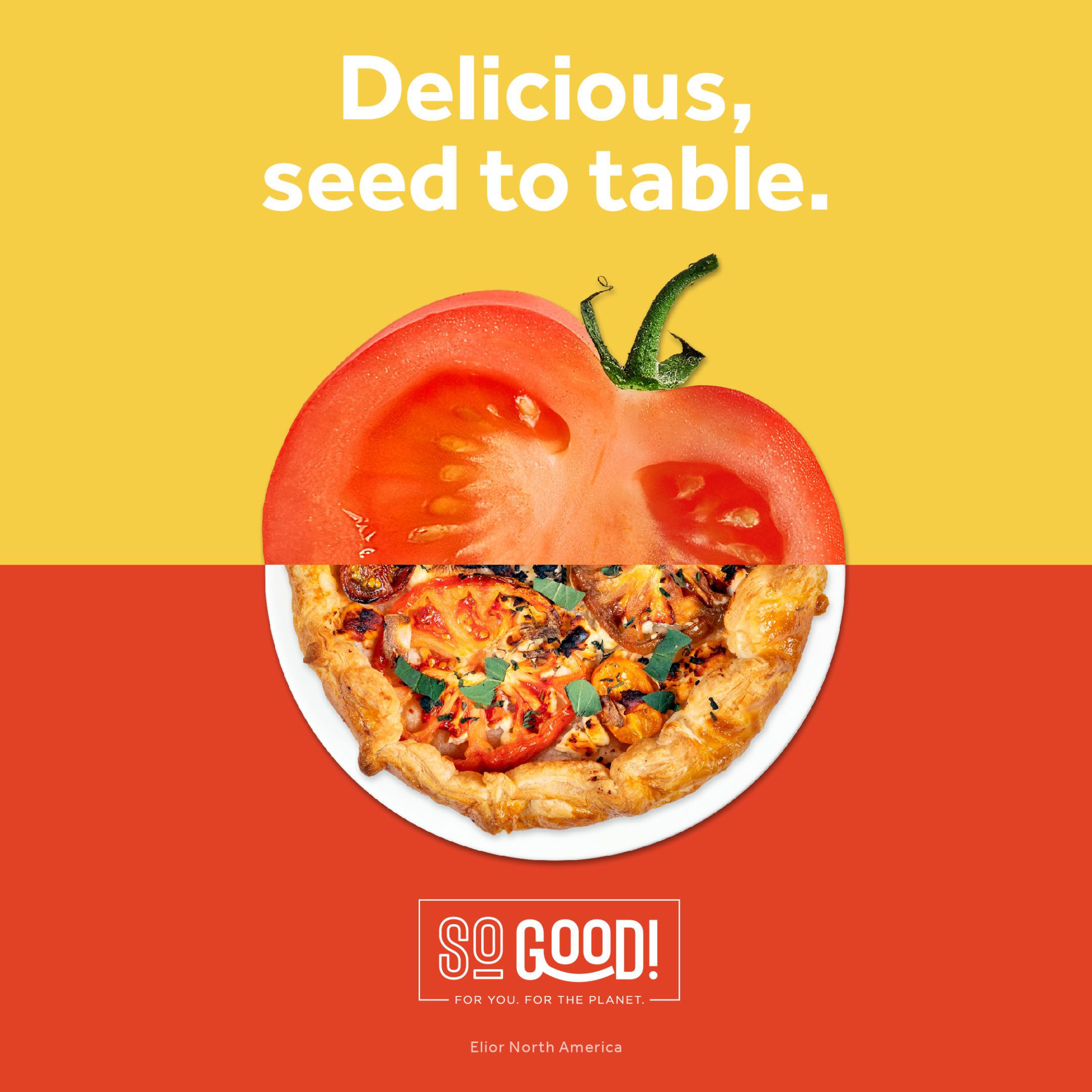 Delicious, seed to table.